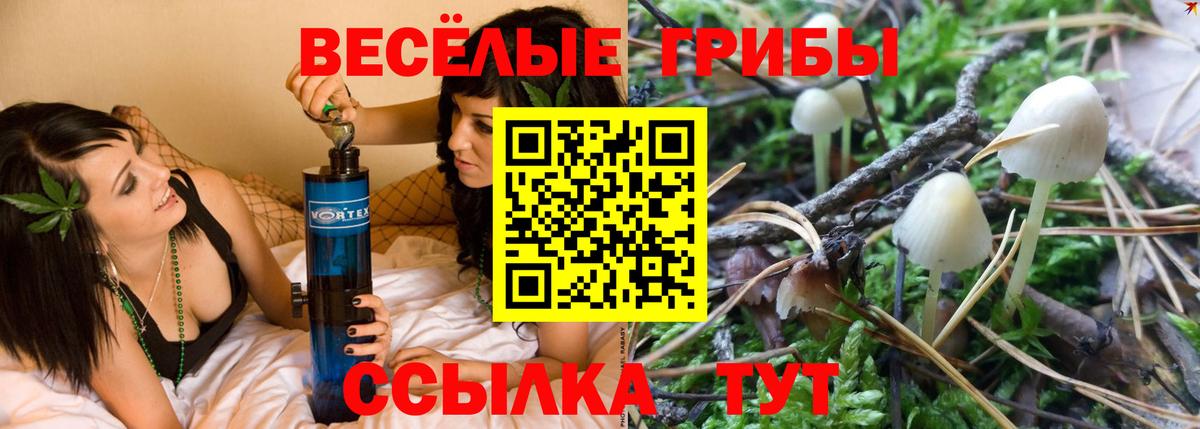 Псилоцибиновые грибы Magic Shrooms Белореченск